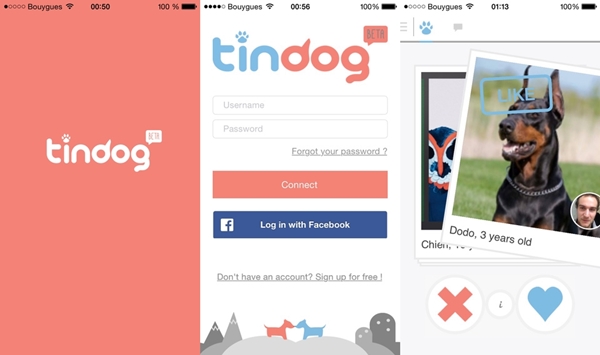 Votre chien se sent seul ? Téléchargez Tindog pour Android et iOS !