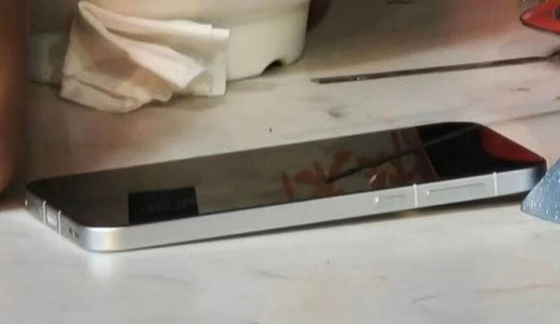 Oppo Find X8 leaks image nature