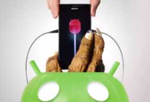 Sony rappelle qu'Android Lollipop arrivera sur les Xperia Z en 2015