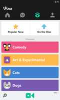L’application Vine est disponible pour Windows Phone 8