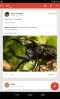 Après Gmail et Timely, Google Plus pourrait aussi être concerné par une mise à jour
