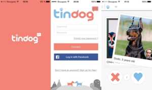 Votre chien se sent seul ? Téléchargez Tindog pour Android et iOS !