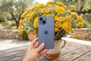 iPhone 16 vu de dos posé devant un bouquet de fleurs immortelles Helichrysum italicum.