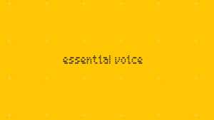 Nothing Essential Voice