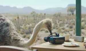 Samsung gagne le titre de la meilleure publicité de l’année pour le Gear VR