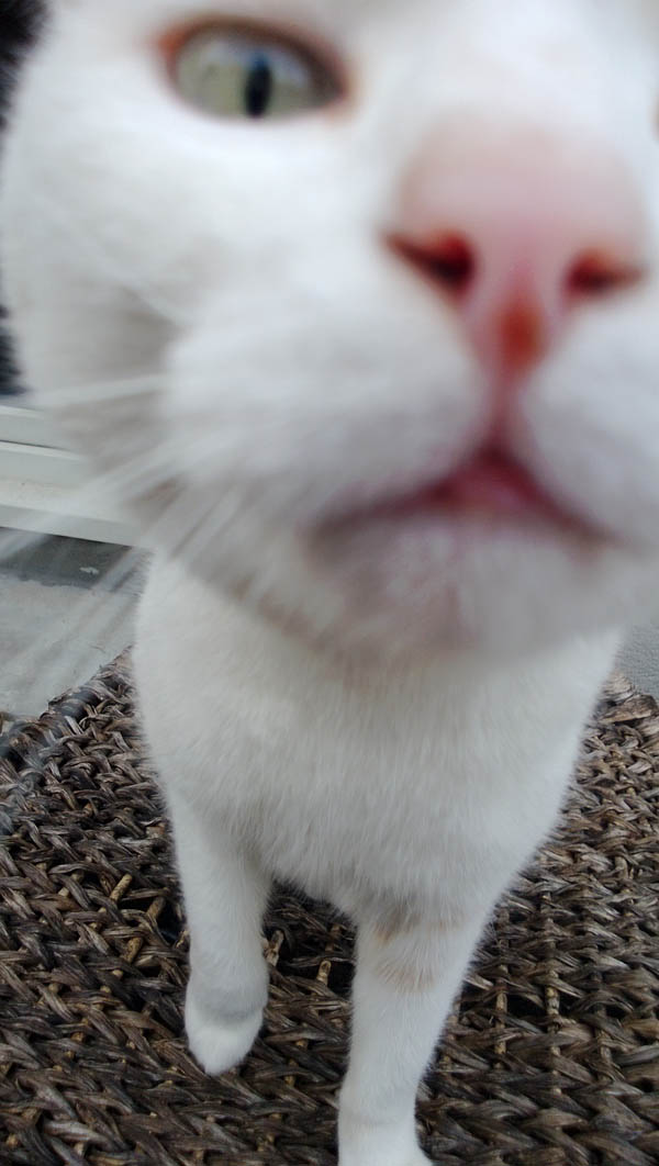 Nokia Lumia 720 test photo