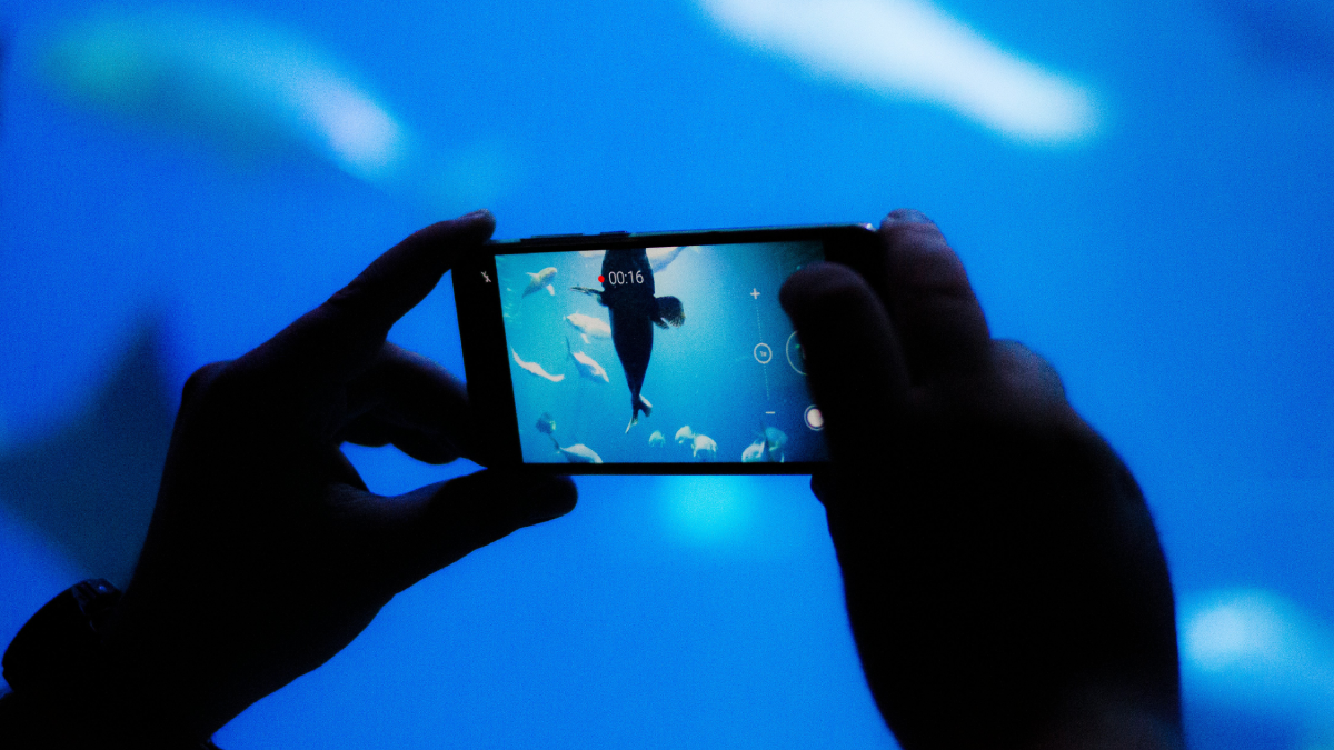 Un smartphone de 1er Avril