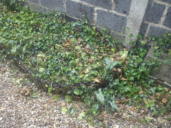 LG Optimus L5 II : photo prise avec le smartphone