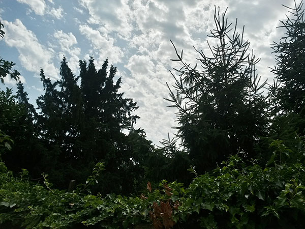 Samsung Galaxy S4 Mini : photo prise avec le smartphone