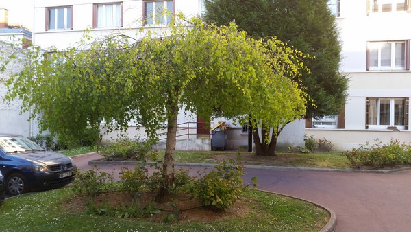 Samsung Galaxy S5 Photo et vidéo