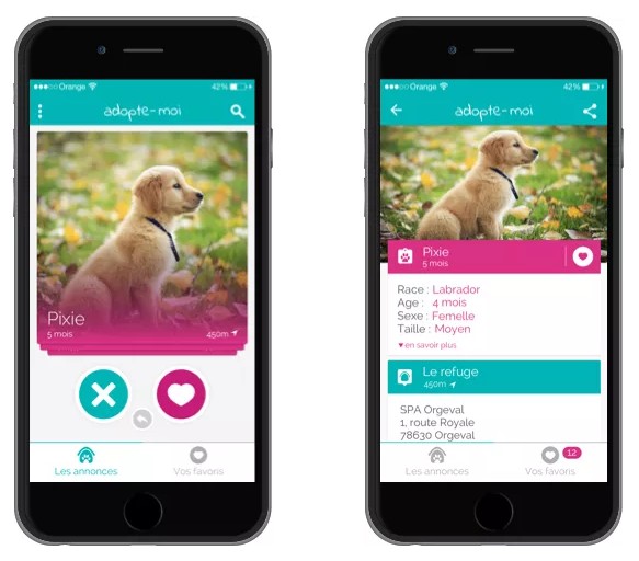 Adoptez votre futur chien (ou chat) grâce à l'application Adopte-moi