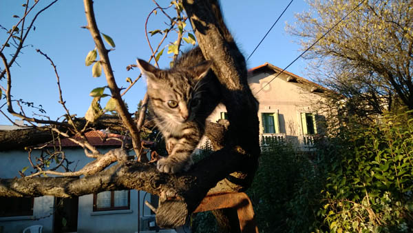 Nokia Lumia 1520 test photo