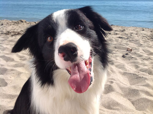 photos vidéos prises nouvel iPad