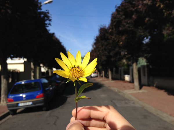 Test iPhone 5 : photos prises avec le smartphone