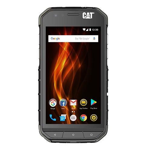 CAT S31