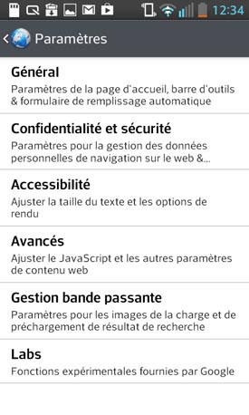 LG Optimus L5 II : navigateur Web