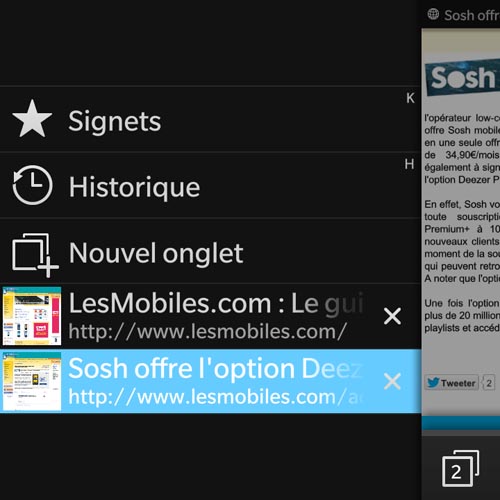 BlackBerry Q5 : navigateur Web