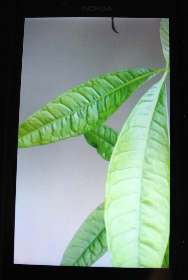 Nokia Lumia 720 : écran