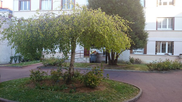 Samsung Galaxy S5 Photo et vidéo