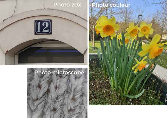 Photo microscope Oppo Find X3 Pro