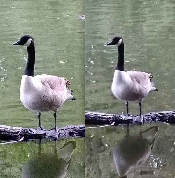 Nokia Lumia 1020 VS Sony Xperia Z1