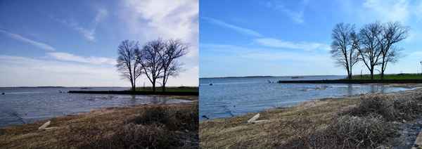 OnePlus One Vs. Nikon D3100 : paysage