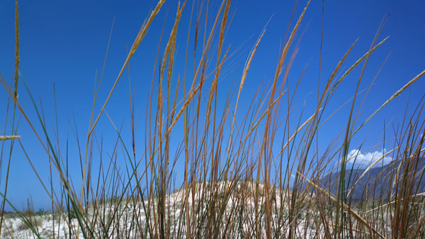 Nokia 808 PureView photos 41 mégapixels prises smartphone Crète 