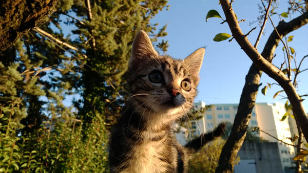 Nokia Lumia 1520 test photo