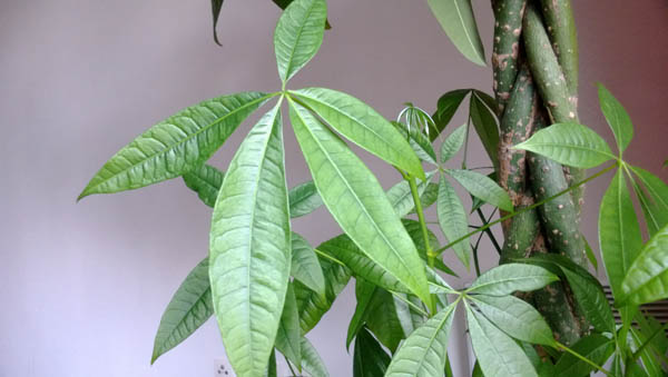 Nokia Lumia 720 test photo