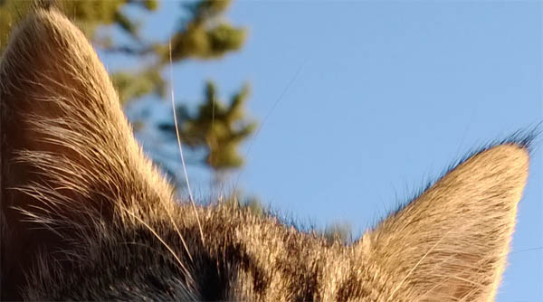 Nokia Lumia 1520 test photo