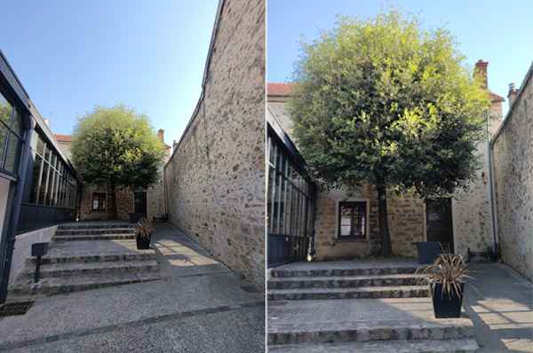 ZTE Axon 40 ultra photo 1x