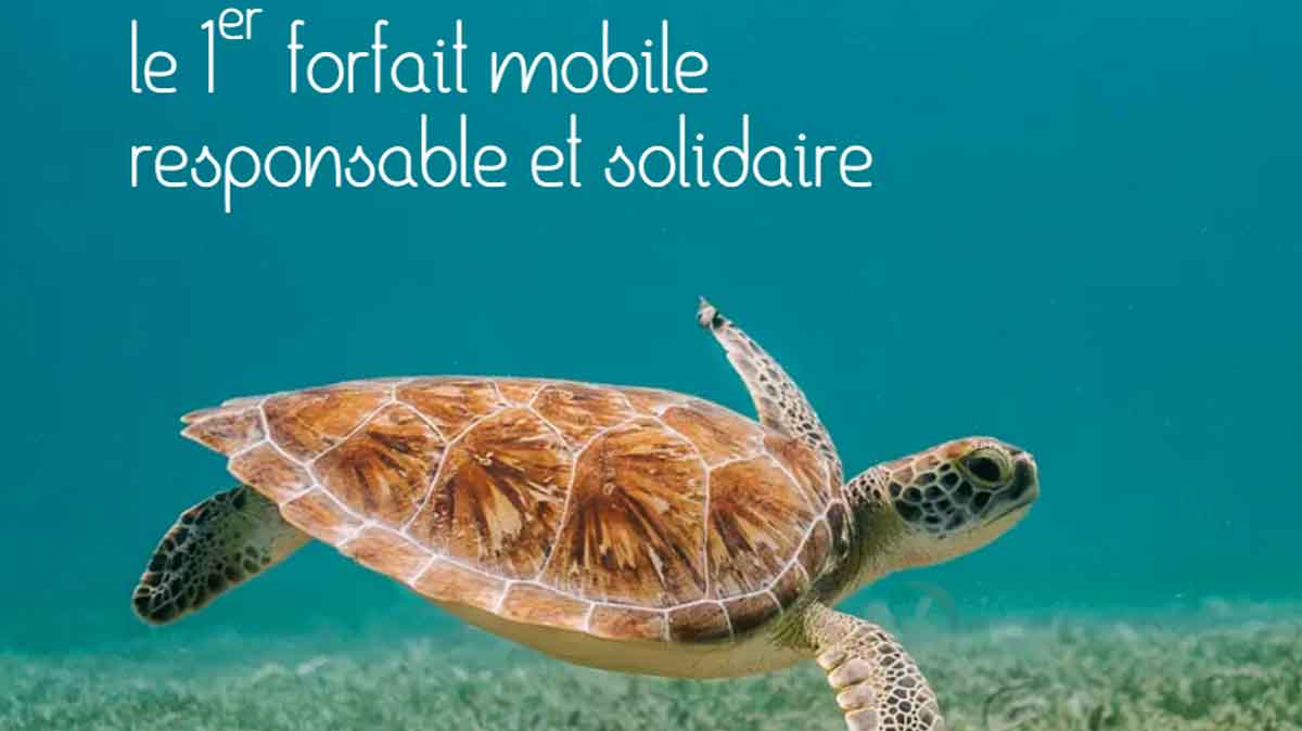 Source Mobile : craquez pour ce forfait mobile compétitif, éco-responsable et solidaire de Bouygues Telecom