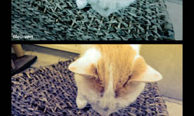 Nokia Lumia 720 galerie