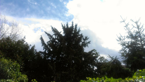 Test HTC One S : photo avec HDR pas activé