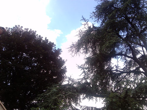 Test LG Optimus 4X HD : photos prises avec le smartphone