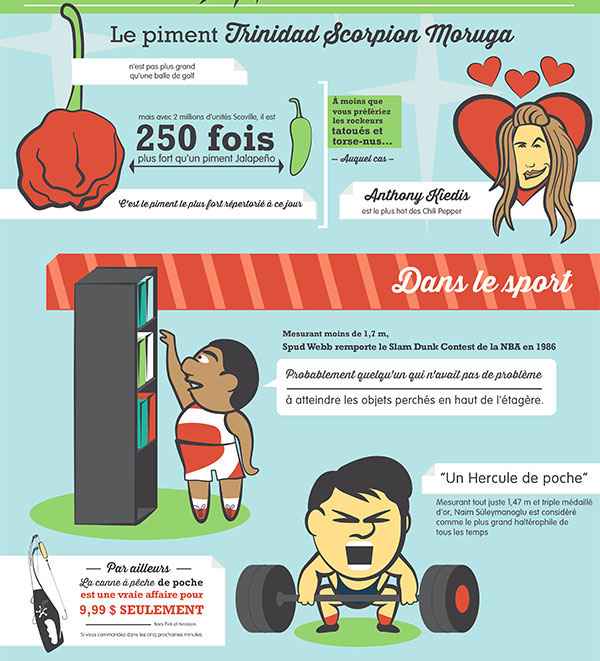 Infographie pour le HTC One Mini