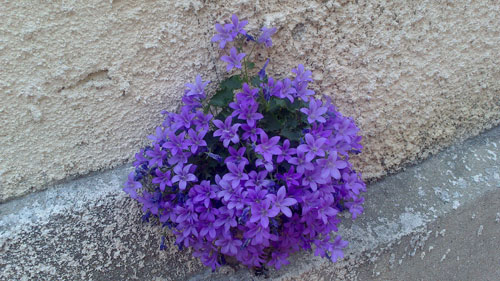 test Sony Xperia U : photos prises avec le smartphone