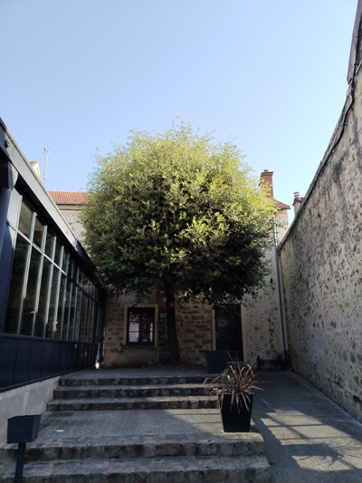 image Photo prise avec l'Honor Magic 4 Lite.jpg