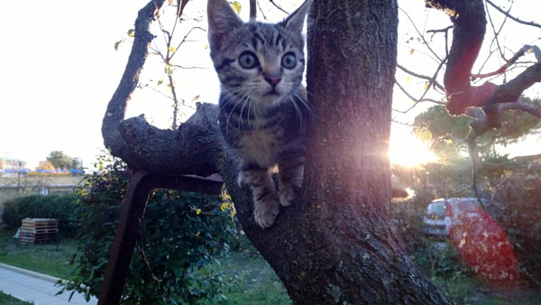 Nokia Lumia 1520 test photo