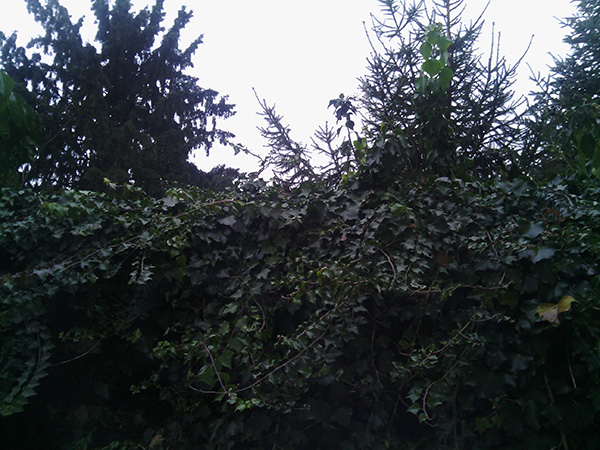 Test ZTE Blade 3 : design