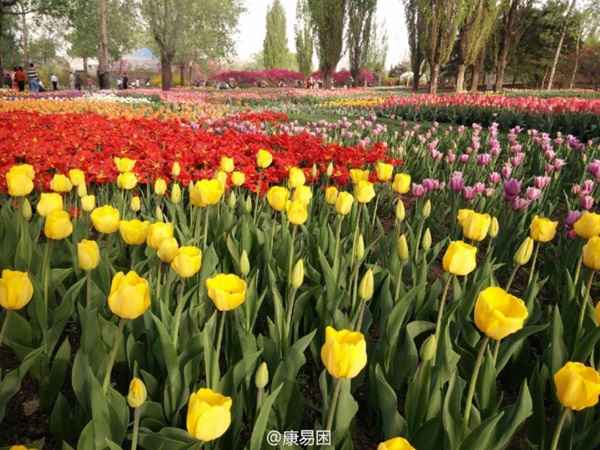 Photo prise avec le OnePlus One