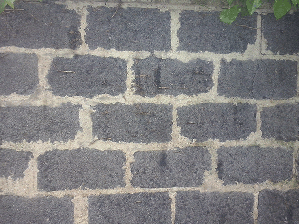 LG Optimus L5 II : photo prise avec le smartphone