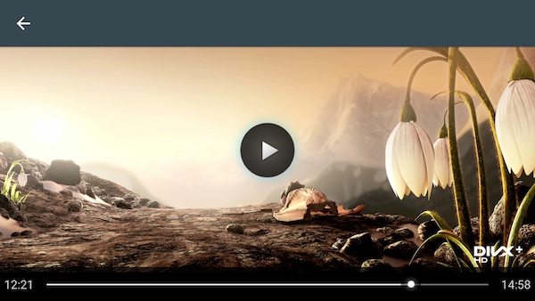 Wileyfox Storm multimedia