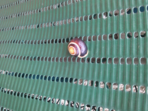 Test LG Optimus 4X HD : photos prises avec le smartphone