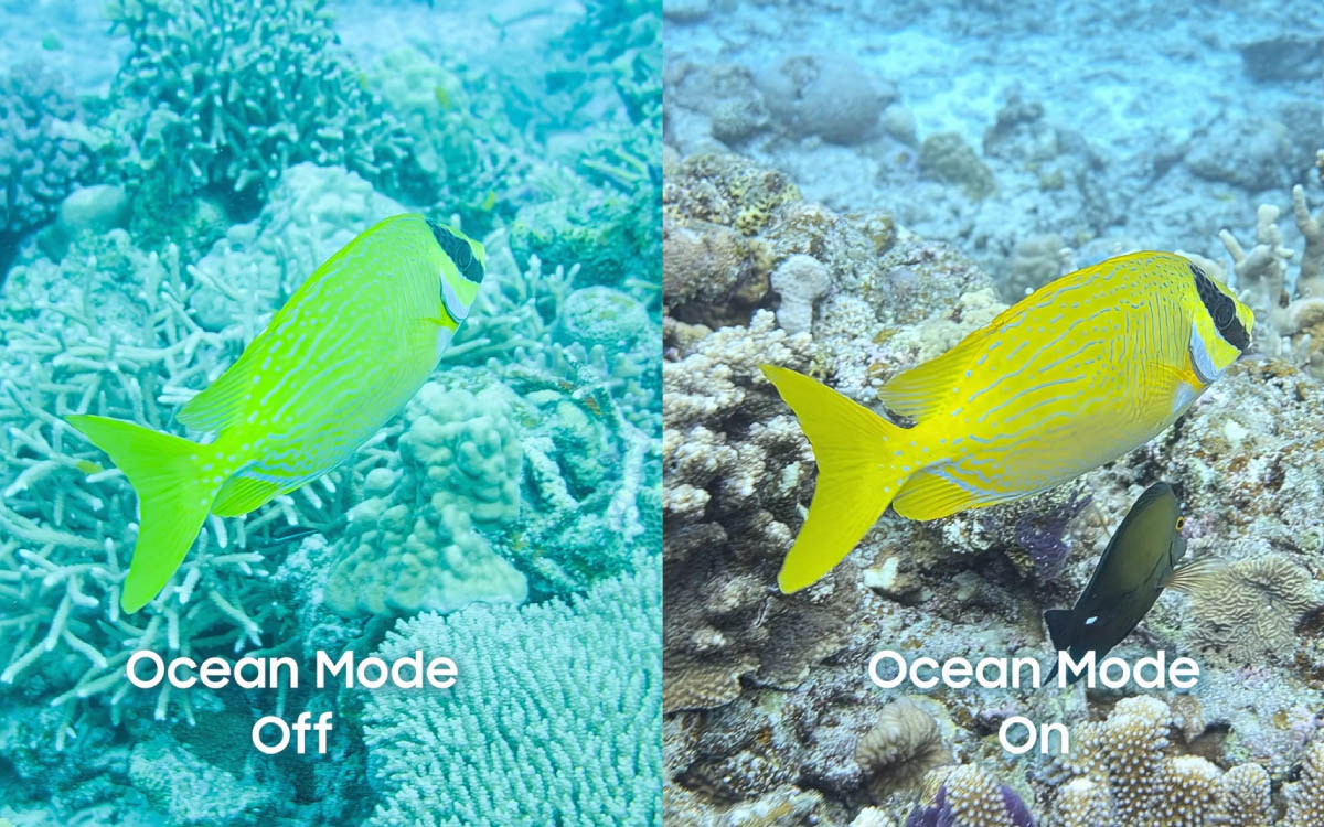 Samsung mode ocean off versus on