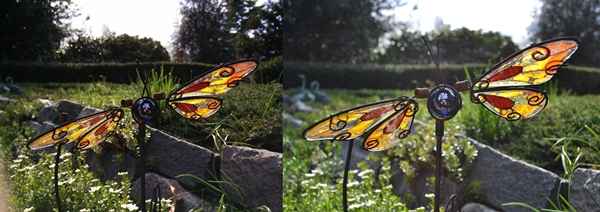 OnePlus One Vs. Nikon D3100 : macro