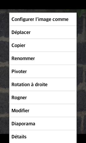 LG Optimus L5 II : éditeur d'image