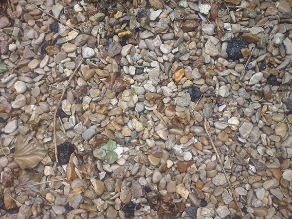 LG Optimus L5 II : photo prise avec le smartphone