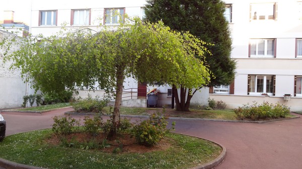 Samsung Galaxy S5 Photo et vidéo