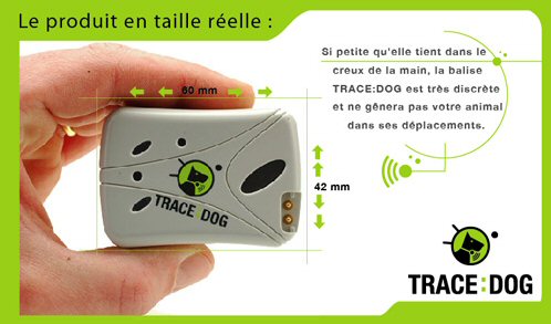 Retrouvez votre chien grâce à votre mobile